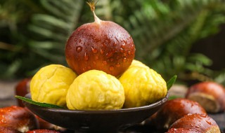 板栗晒干了怎么剥皮(晒干的板栗怎么剥壳)