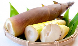 竹笋去皮到什么程度（竹笋去皮后是什么样子）