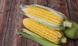 玉米剥皮辊间隙调多大