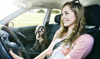 冠道热车的正确方法是什么 本田冠道冬天需要热车吗