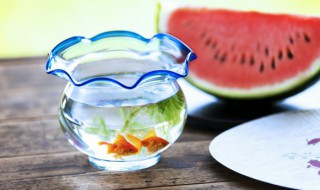 鱼小时候叫什么（鱼小时候叫什么?）