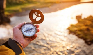 自然指南针是什么(大自然的指南针)