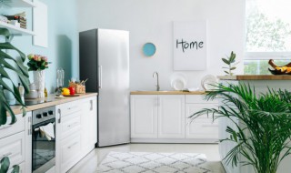 冰箱发霉了有什么清洁啊啊（东西放冰箱发霉了要清洗冰箱）