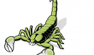 蝎子寓意着什么意思(蝎子象征着什么)