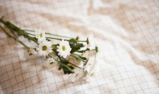 马克笔涂在布上洗得掉吗 马克笔在布上画能洗掉吗