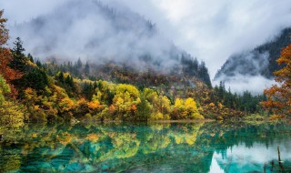 中国自然景观有哪些（中国自然景观有哪些类型）