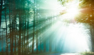 大自然的自然现象有哪些(大自然的自然现象有哪些二年级写作文300字)