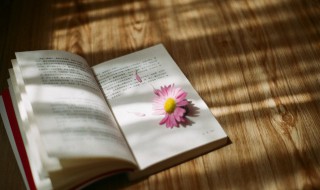 虚的组词是什么（虚的组词是什么和拼音）