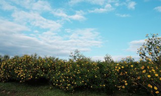 大气层分为哪几个层（大气层分为哪几个层次）
