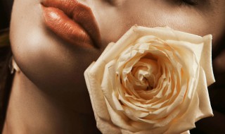白玫瑰寓意代表什么意思 白玫瑰是什么意思