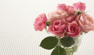 三只玫瑰代表什么意思（三个玫瑰是什么意思）