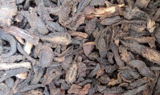 怎么挑选优质的肉苁蓉（如何挑选优质肉苁蓉）