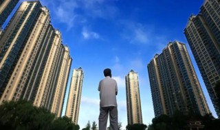 握握是什么 握握是什么1988