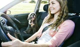 电子刹车的自动挡车停车正确方法 自动档电子刹车停车正确方法