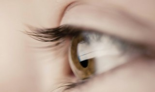 正确的清洗假睫毛方法（假睫毛用什么清洗）