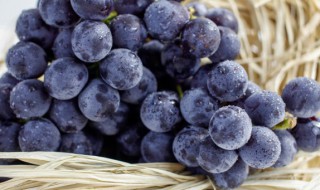 正确清洗葡萄的方法是什么（葡萄怎么清洗）