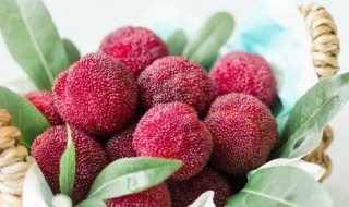 杨梅正确的清洗方法 清洗杨梅的最佳方法