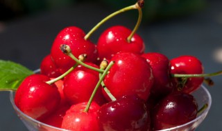 车厘子3j是多大(车厘子3j是多大 硬币)