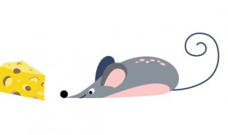 老鼠用什么辨别气味 老鼠最怕这5种气味