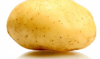 生的马铃薯的气味是什么 马铃薯的味道