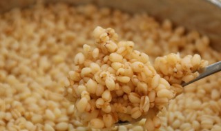 麦仁怎么煮熟是清汤（麦仁汤煮多长时间）