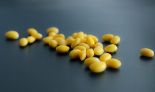 用煮熟的黄豆打豆浆好吗（打豆浆的黄豆要煮熟吗）