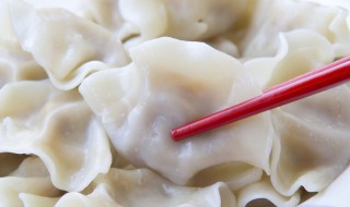 萝卜丝饺子蒸多长时间（萝卜饺子需要蒸多长时间）