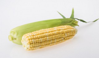 煮熟的玉米第二天吃怎么保存 玉米煮熟放保鲜几天还能吃么
