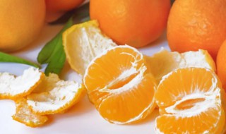 如何挑选橘子(如何挑选橘子甜)