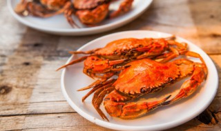 螃蟹和醋可以一起吃吗 螃蟹可以和陈醋一起吃吗