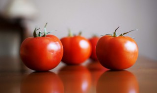 西红柿能和酸奶一起榨汁吗 西红柿能和酸奶一起榨汁喝吗