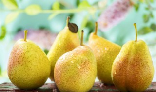 梨和什么一起榨汁好 梨和什么一起榨汁比较好