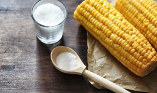 煮熟的玉米粒怎么保存（煮熟的玉米粒怎么保存新鲜时间长）