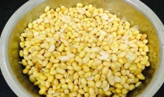 黄豆煮熟了晒干丢失养分了吗（煮熟的黄豆晒干有营养吗）