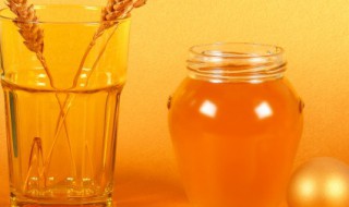 荔枝蜜怎么吃 荔枝蜜怎么吃比较好