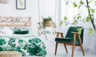 如何有效去除室内漆的气味（室内漆味去除方法）