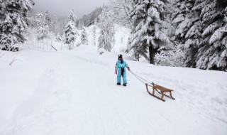 滑雪运动起源于什么地方（滑雪最早的发源地是哪个国家）