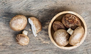 新鲜香菇发黑还能吃吗（新鲜香菇发黑还能吃吗 香菇发黑是怎么回事 - 京东）