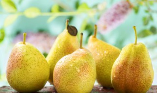 凉水化冻梨为什么比热水快 冻梨加热水