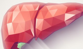 煮熟的羊肝怎么做好吃 煮熟的羊肝怎么做好吃不腥