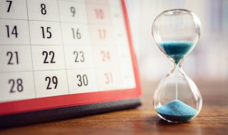 什么时候数头伏（几号数头伏?）