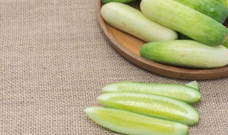 瓠瓜高产种植技术要点有哪些 露地瓠瓜如何种植