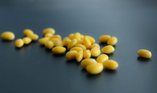 煮熟的黄豆可以放多久 煮熟的黄豆能放多久