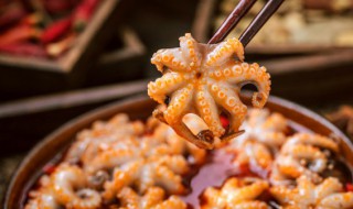 大章鱼白灼要煮几分钟（白灼章鱼的做法煮多久窍门）