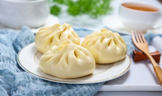 蒸肉包子蒸多长时间比较好(蒸肉包子应该蒸多长时间)