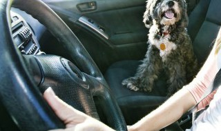 汽车脚垫有气味怎么处理 汽车脚垫有味道怎么回事