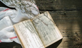 描写中秋的月亮的诗句(描写中秋的月亮的诗句千里共婵娟)