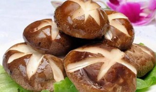 蘑菇煮熟可以隔夜吃吗（蘑菇煮好后隔夜能吃吗）