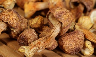 姬松茸有什么功效 姬松茸和什么煲汤最佳