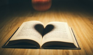 爱你的唯美语录经典（关于爱你的经典语录）